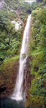 Tamarind Tree Hotel Salisbury Dominica